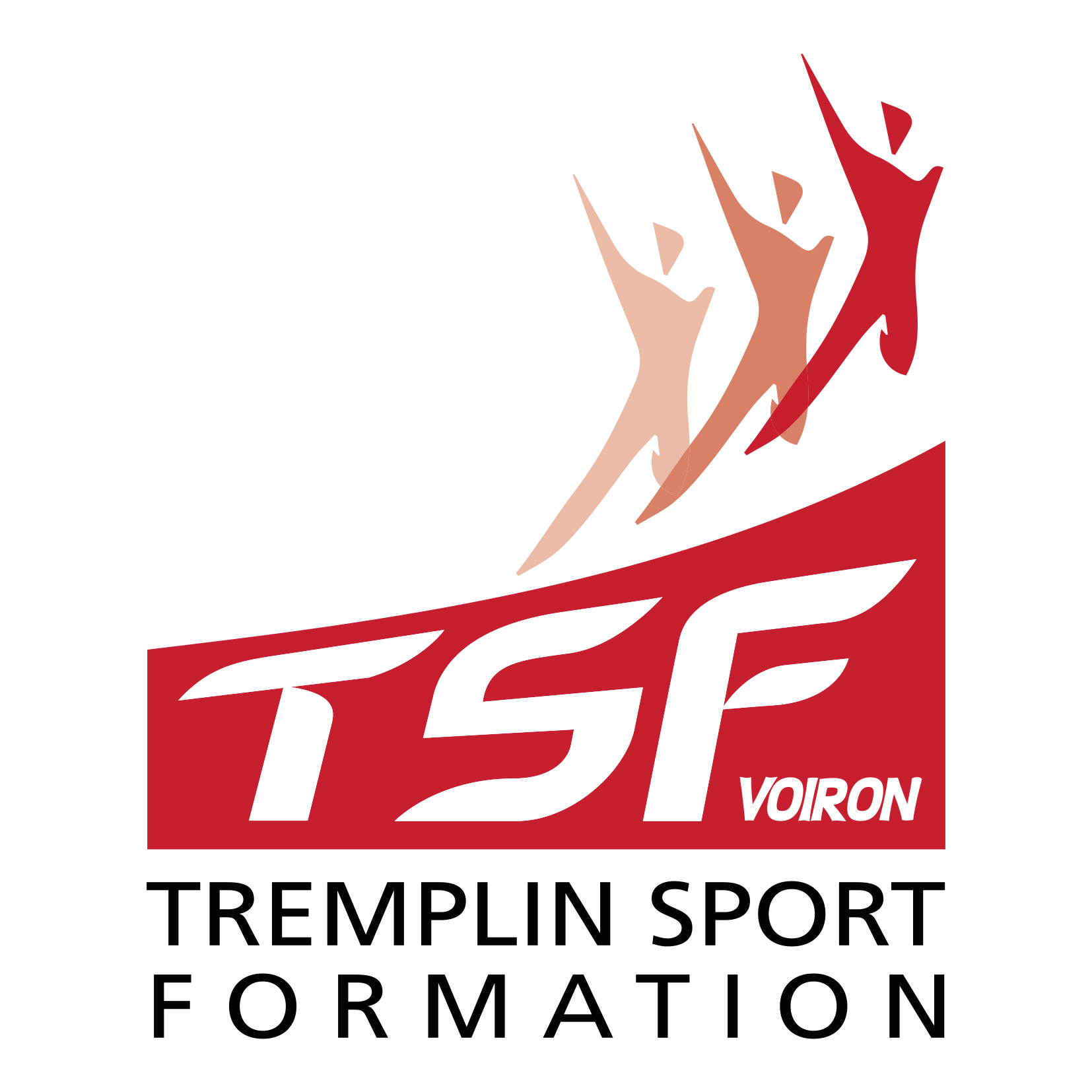 logo TSF COULEUR